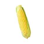 Sweet Corn